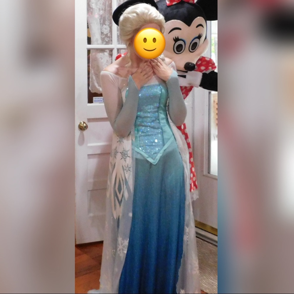 Elsa costume dress
